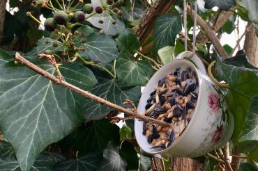 Das Bild zeigt eine Futterstation aus einer Tasse für Wildvögel.