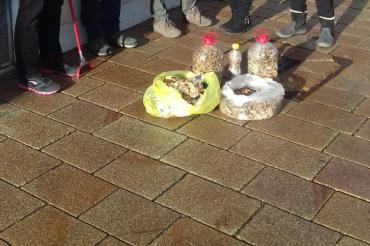 „Fill the bottle“ – Aktion in Donauwörth