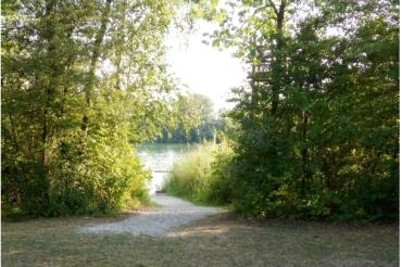 Das Bild zeigt den Riedlinger Baggersee.