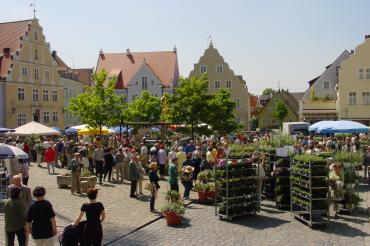 "Fuchsienmarkt" in Wemding
