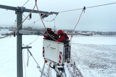 Das Bild zeigt die Montage von Vogelschutzhauben.