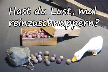 FSJ Museum KulturLand Ries