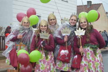 Faschingsumzug Oberndorf 2020