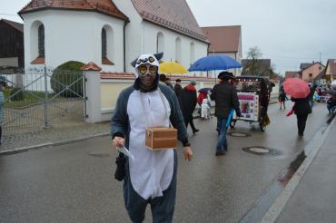 Faschingsumzug Hafenreut 2020