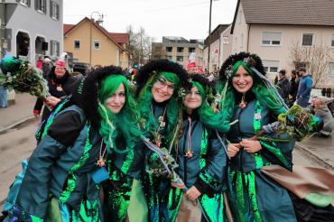 Faschingsumzug Mertingen