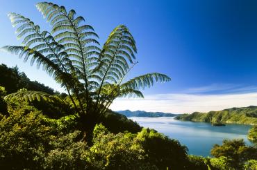 VHS-Vortag über Neuseeland von Dirk Bleyer