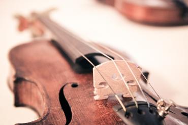 Violine