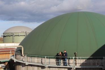 Strom aus der Biotonne