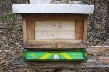 Bienenkasten