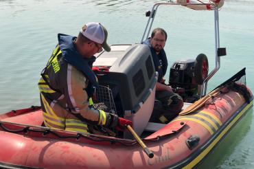 Zu einem ungewöhnlichen Einsatz rückten die Wehren aus Asbach-Bäumenheim und Rain vergangene Woche aus.