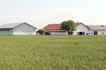 Der BBV fordert von den Agrarministern von Bund und Ländern verlässliche Unterstützung und umsetzbare konkurrenzfähige Rahmenbedingungen. 