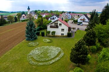 Froschgesicht im Rasen vor Haus in Hochaltingen