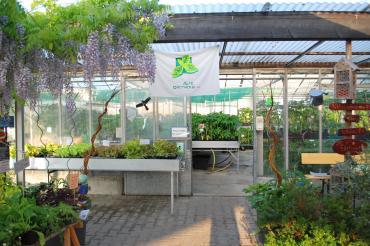 Gewächshaus mit Banner "Alte Gärtnerei"