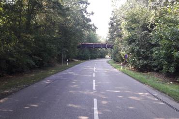 Holzbrücke über eine Straße, links und rechts Bäume