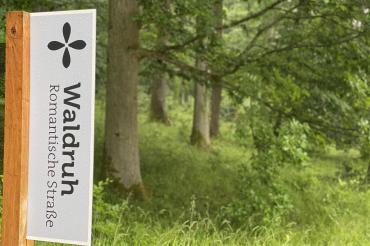 Waldruh Naturbestattung