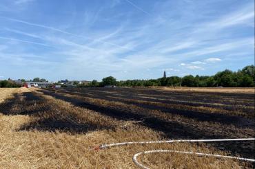 Abgebranntes Weizenfeld bei Nördlingen