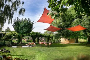 Dehner Flamingoanlage