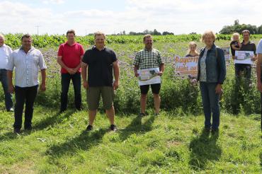 Landwirte, Blühpaten und Vertreter des Bayerischen Bauernverbandes trafen sich in Heuberg an einer Wiese, auf der Phacelia in voller Blüte steht. 
