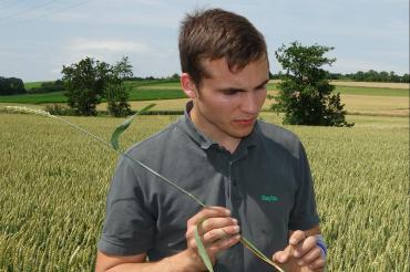 Marvin Rehklau aus Deiningen erläutert in seiner praktischen Abschlussprüfung den Entwicklungsstand des Getreides.