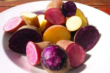 Museum KulturLand Ries Maihingen