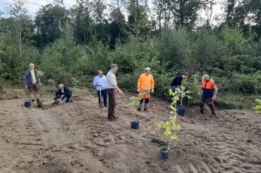 Das Bild zeigt den Stadtrat bei der Baumpflanzung