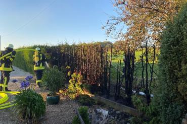 BRennende Hecke