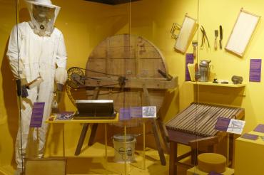 Ein Blick in die Ausstellung "Bienen und Imker". 