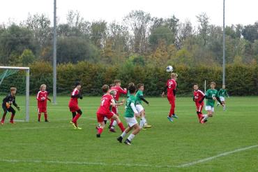 Die U13 Mannschaft des TSV Rain