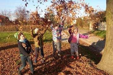 Das Bild zeigt Kinder im Laub spielen