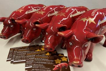 Mini-Schweine - Weihnachtsedition