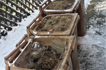 Das Bild zeigt eingefrorene Biotonnen.