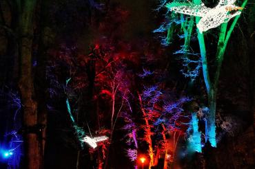 Donauwörth leuchtet