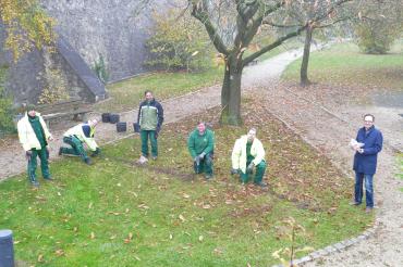 Rund 17.000 Frühlingsblüher für Wemding‘s Stadtgraben