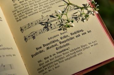 Das Bild zeigt ein Gesangsbuch.