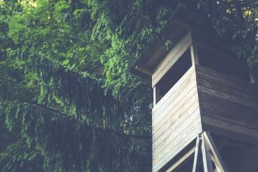 Hochsitz vor Nadelbaum