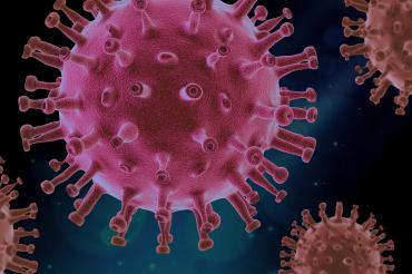 Grafik des Coronavirus