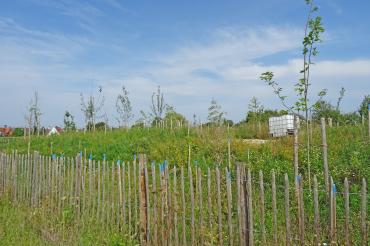 Das Bild zeigt den Lehrwald der Taglieber.