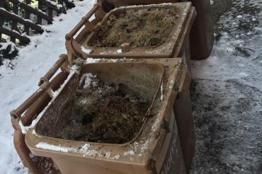 Das Bild zeigt eingefrorene Biotonnen