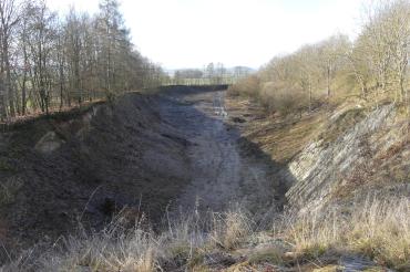 Im Steinbruch Amerdingen laufen derzeit umfangreiche Pflegearbeiten, um die Gewässerqualität für Molche, Kröten und Frösche zu verbessern.