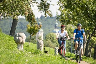 Das Bild zeigt zwei Radfahrer. 