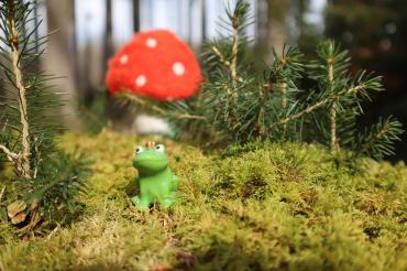 Das Bild zeigt einen Frosch. 