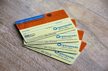 Das Bild zeigt Organspendeausweise