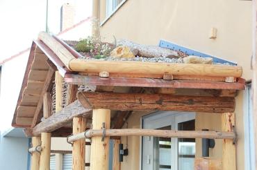 Das Bild zeigt ein begrüntes Dach.