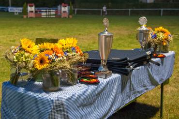 Das Bild zeigt die Anekdotensammlung von Marle Koch-Schneider