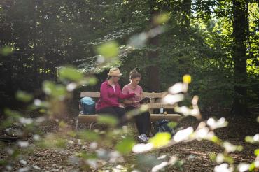 In den Wäldern rund um Wemding wurden in den letzten Jahren drei Ruheoasen geschaffen, die zum Verweilen einladen. 