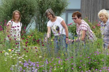 Doris Leupold (re.) zeigt Mitgliedern des Gartenbauvereins die große Artenvielfalt, die im Blühstreifen vor dem B+ Zentrum zu sehen ist.