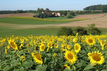 Fotowettbewerb RVB Ries