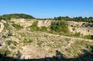 Das Bild zeigt den Steinbruch Badersberg.