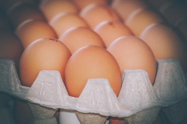 Das Bild zeigt Hühnereier.