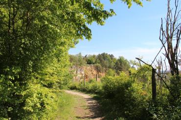 Erlebnis-Geotop Lindle